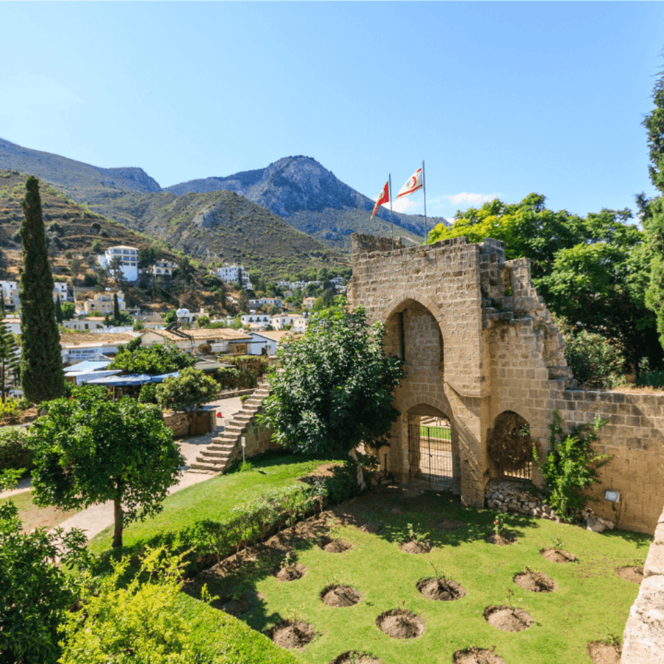 Kültürel, Sanatsal ve Tematik Organizasyonlar